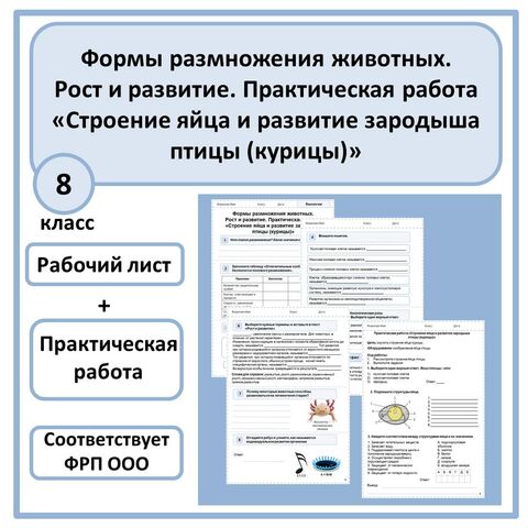 Рабочий лист 