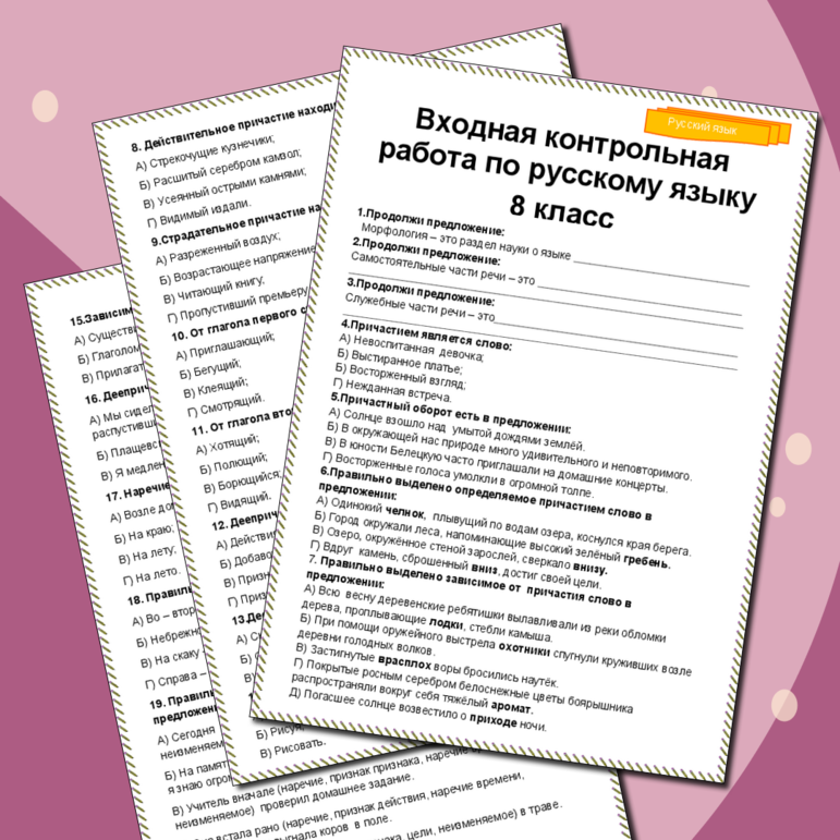 Контрольная работа по русскому языку (входной контроль) в 8 классе