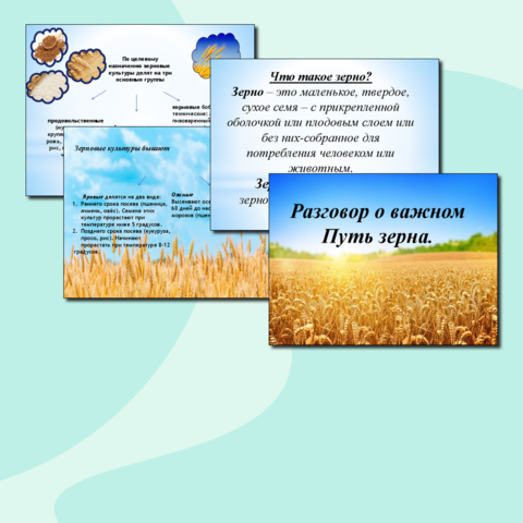 Материалы для проведения 