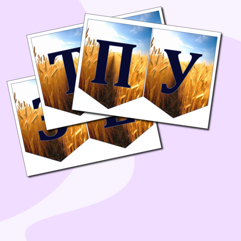 Путь зерна. 23 сентября. Разговоры о важном. Оформление доски: растяжка, речевые облачка, интересные факты.