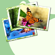 Релаксация для детей дошкольного возраста