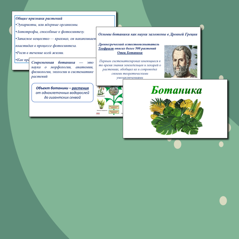 Презентация «Ботаника»