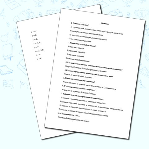 Контрольное тестирование по орфографии 6 класс