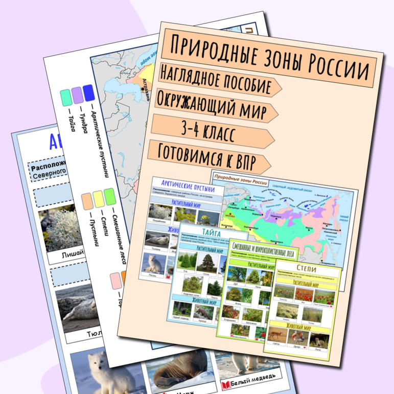 Подготовка к ВПР по окружающему миру 4 класс наглядная памятка ...