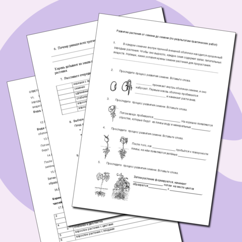 Рабочий лист по теме 