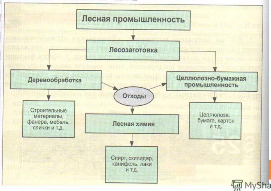 Состав производств лесной промышленности. Какая структура лесной промышленности. Состав отрасли лесной промышленности. Промышленность профессии. Специфика профессий лесной промышленности.