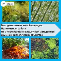 «Методы познания живой природы. Практическая работа № 1 «Использование различных методов при изучении биологических объектов»